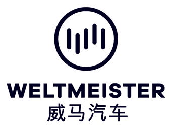 Logo Weltmeister