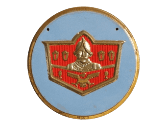 Logo DeSoto